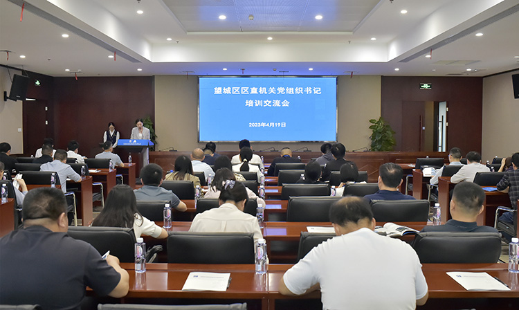 公司職能黨支部書記、黨群綜合部副部長（主持黨建工作）周葵主持會議.jpg